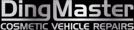 DingMaster Logo